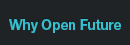 Why Open Future Learning